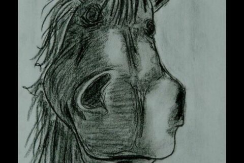 Wystawa Roberta Worwy_21
